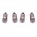Miniature Bulbs